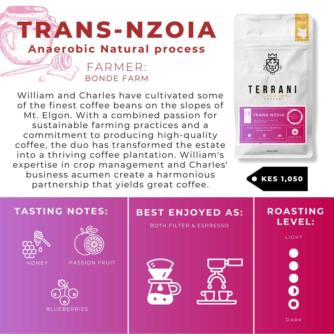 Trans-Nzoia: Medium Roast